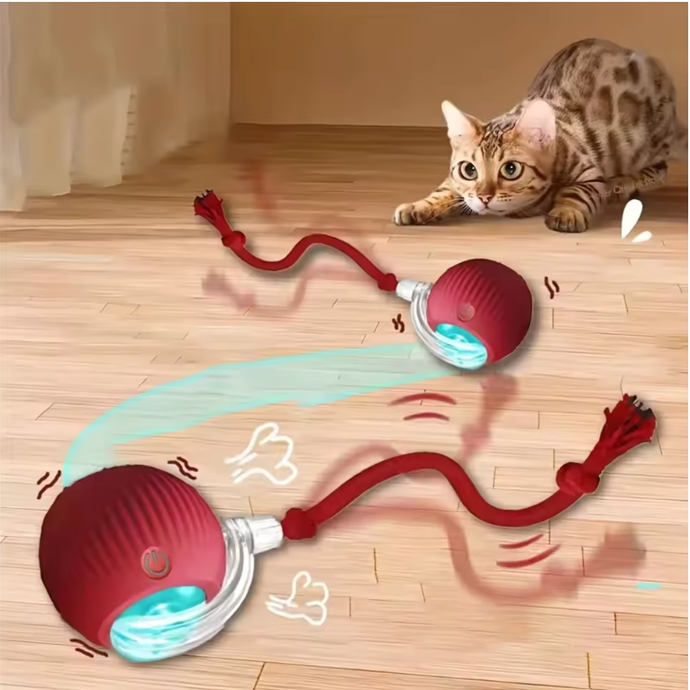 FREE Automatic Rechargeable Rolling Toy